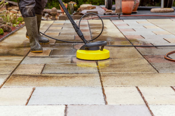 Best Solar Panel Cleaning  in Rancho Viejo, TX
